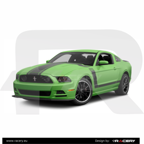 Ford Mustang Mk5 BOSS 302 zestaw decals set